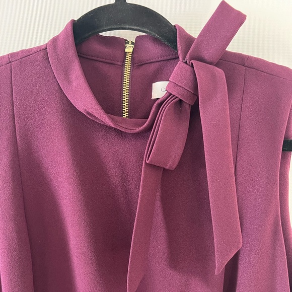 NWT Calvin Klein, Plumb Midi Work Dress, Bow and Gold Zip Details, Size 8 - Picture 4 of 6